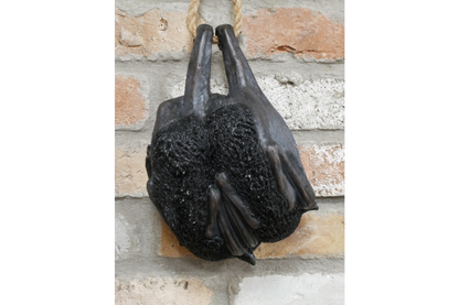 Hanging Bats