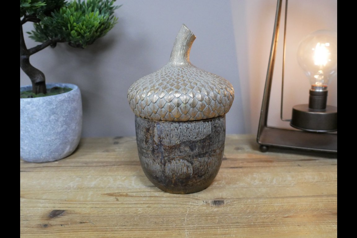 Acorn