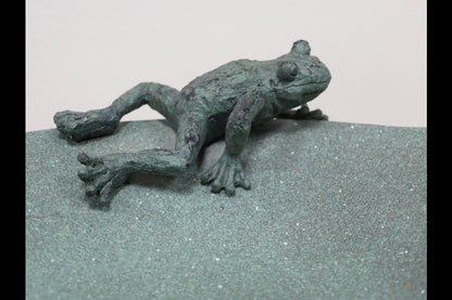 Frog Bird Feeder / Bath
