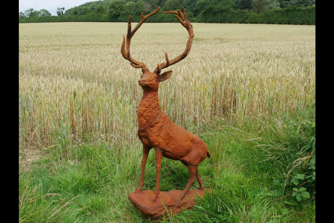 Rusty Stag