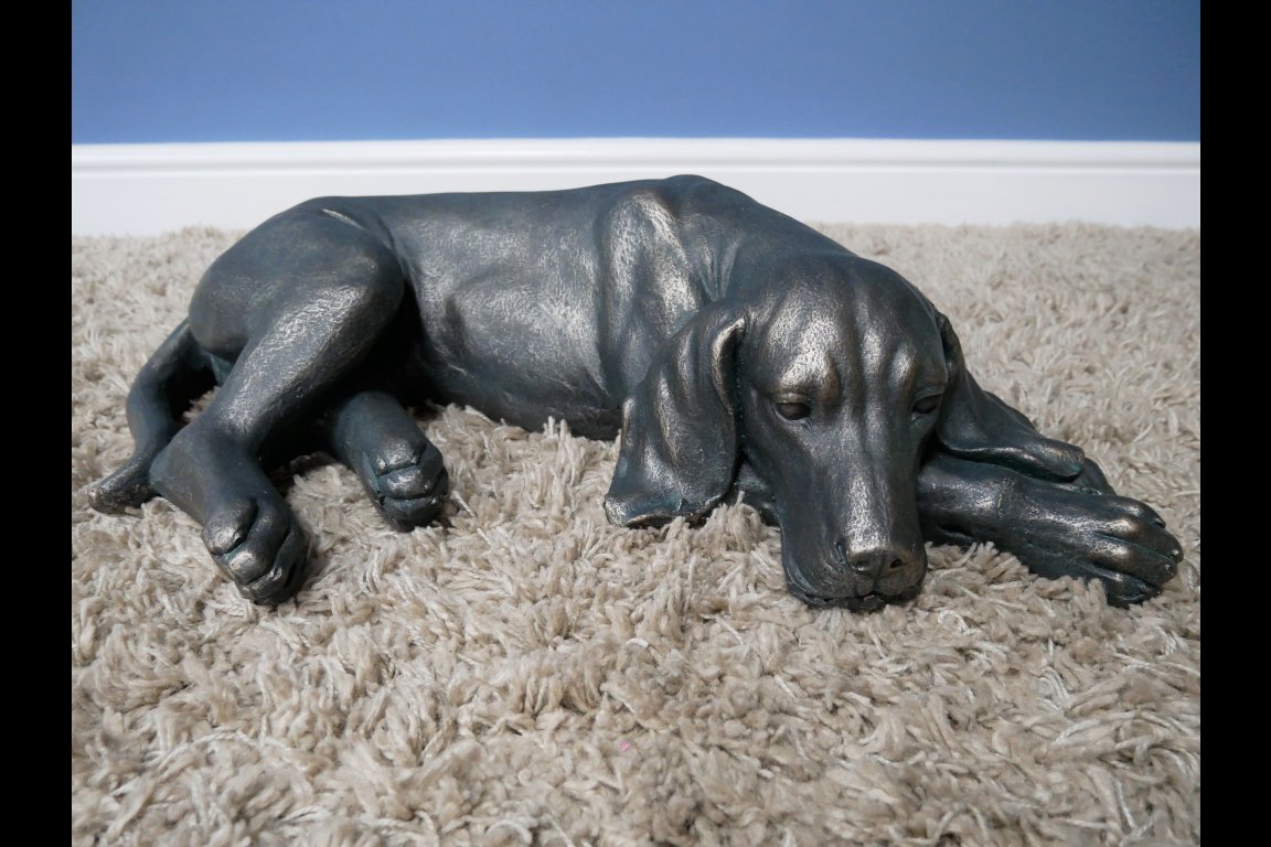 Laying Dog