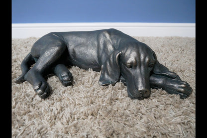 Laying Dog