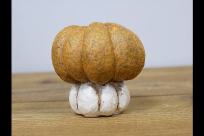 Small Pumpkin
