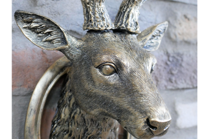 Stag Head