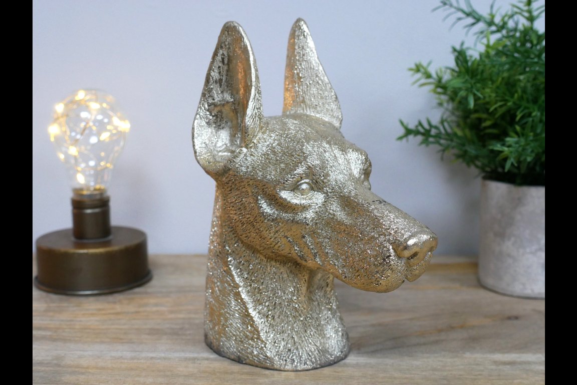 Dog Head