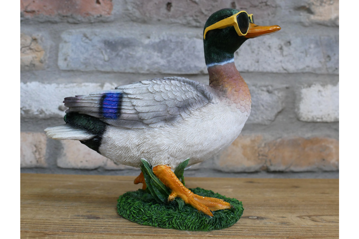 Duck In Shades