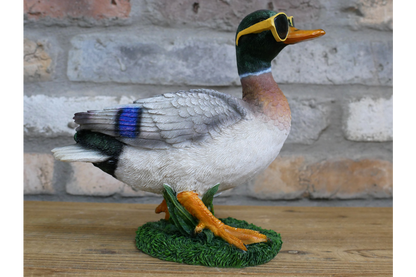 Duck In Shades