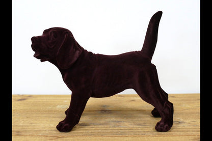 Brown Dog