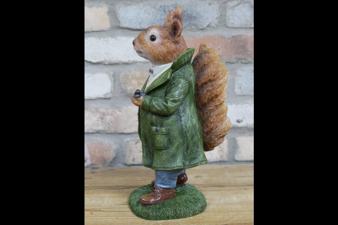 Mr Squirrel