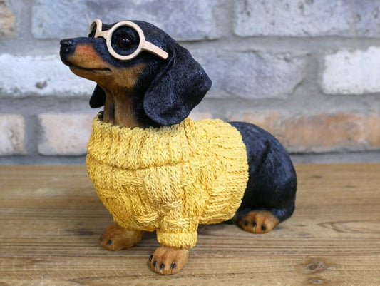 Dachshund Dog In Sweater