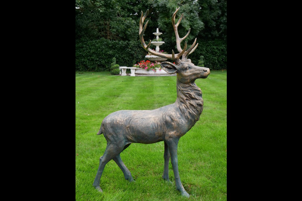 Stag