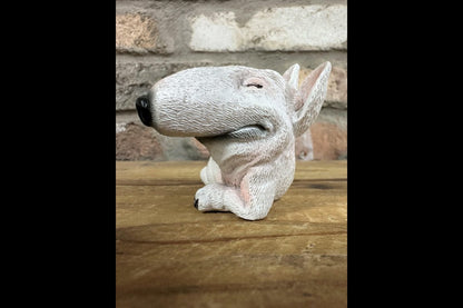 Smirking Dog