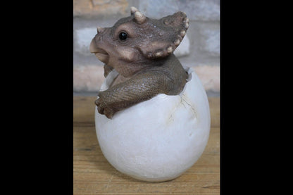 Dinosaur Egg