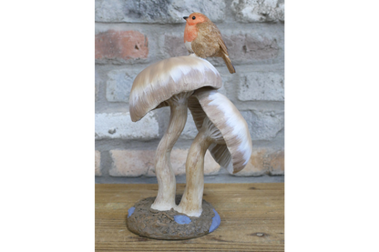 Robin On Top Of Mushrooms