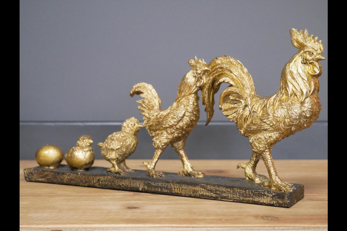 Chicken Evolution