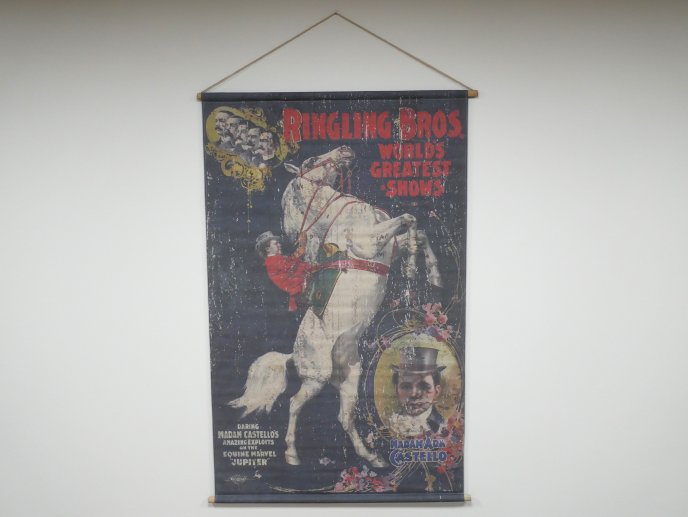 Canvas Wall Art - Horse