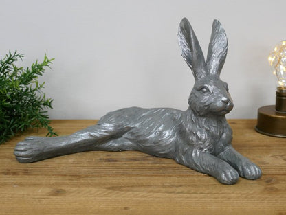 Laying Hare