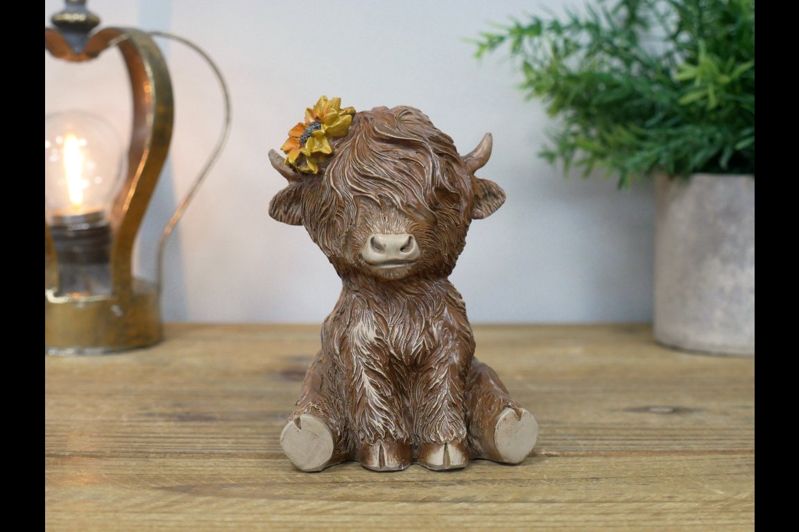 Sitting Highland Cow