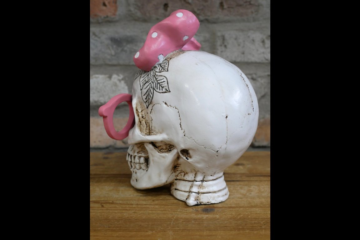 Skull With Pink Bow