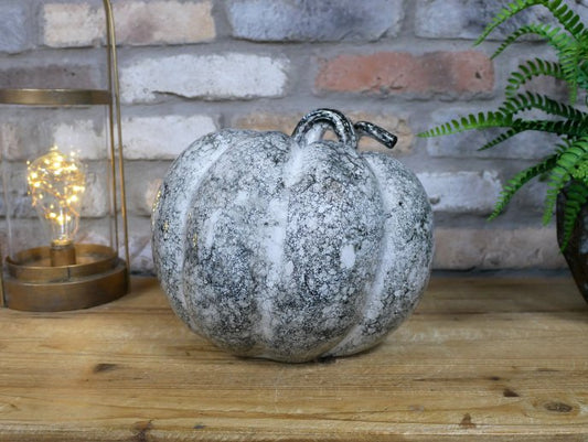 Pumpkin - Large