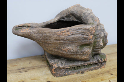 Shell Planter