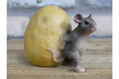 Mouse Rolling Potato
