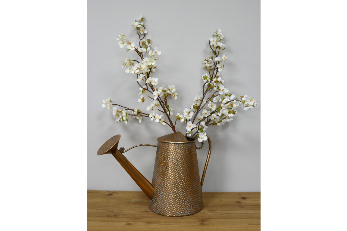Watering Can