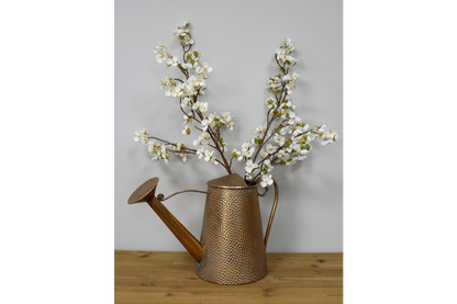 Watering Can