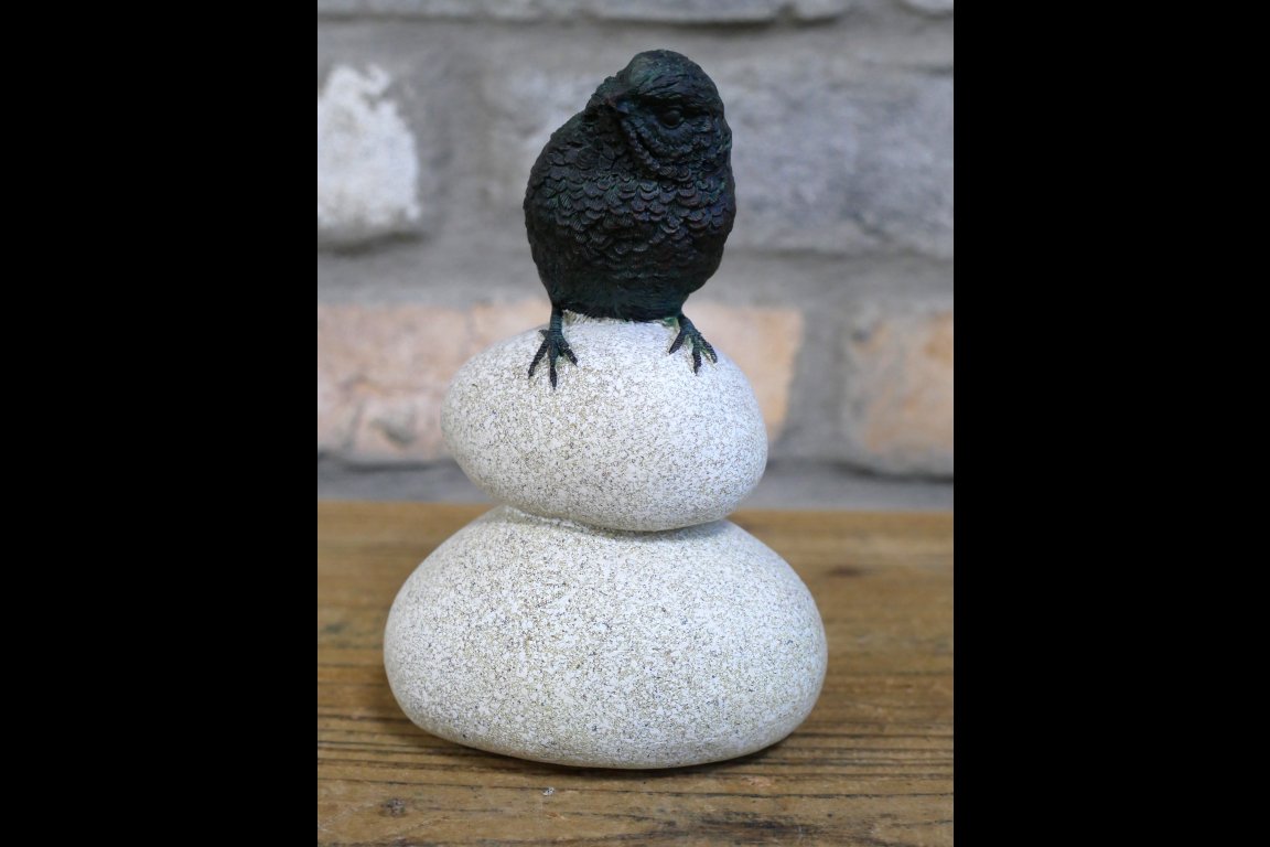 Bird Stood On Pebbles
