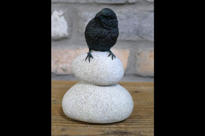 Bird Stood On Pebbles