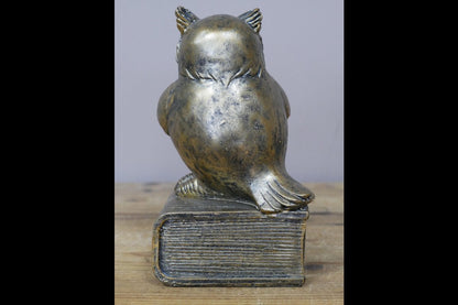 Reading Owl