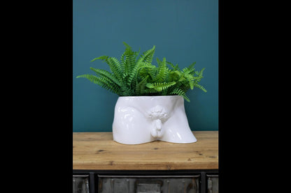 Man Planter
