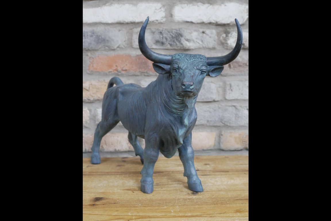 Bull