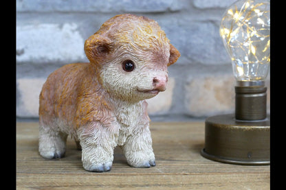 Tiny Baby Cow