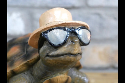 Holiday Tortoise