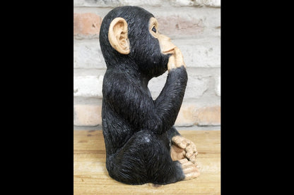 Finger In Mouth Monkey