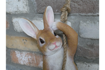 Hanging Rabbit