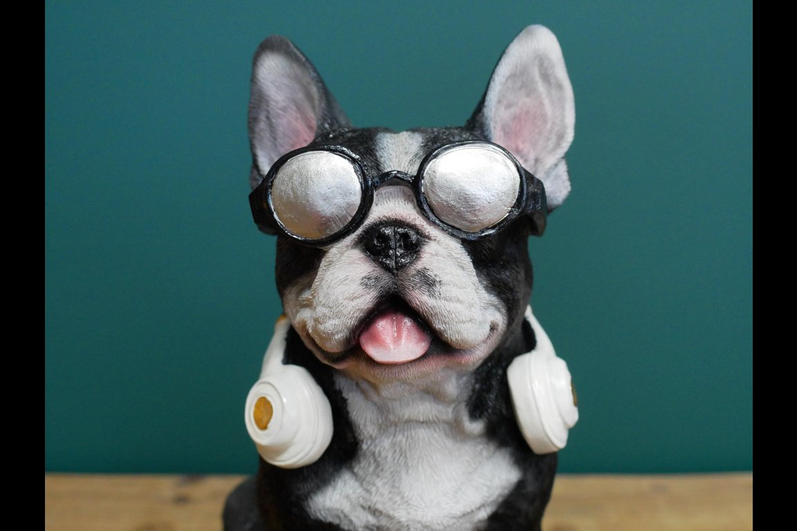 Dog With Headphones