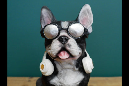 Dog With Headphones