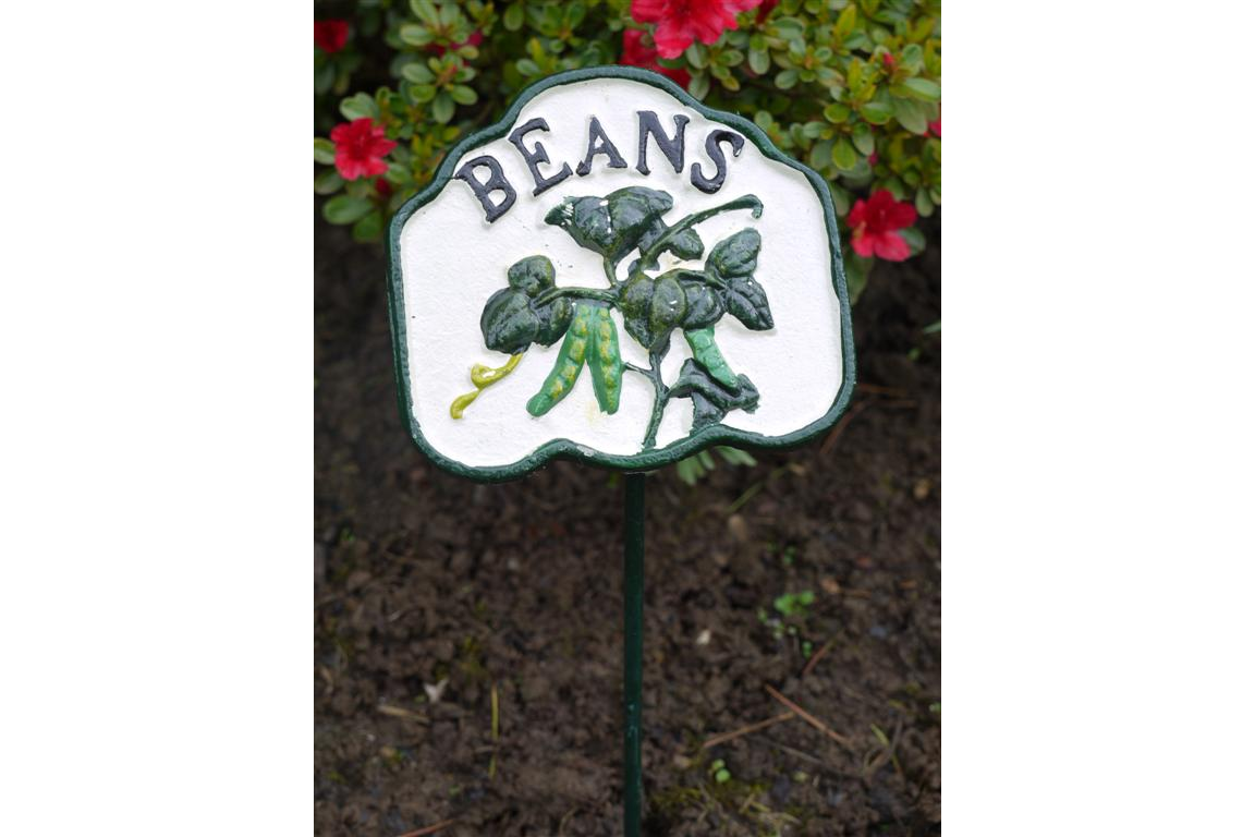 Beans Sign