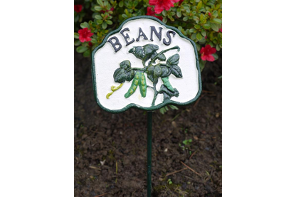 Beans Sign