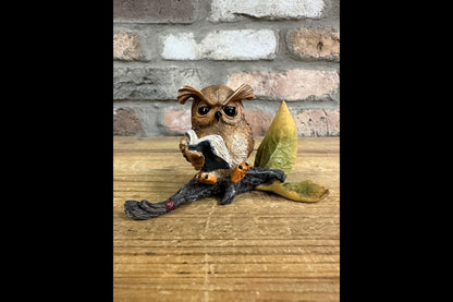 Owl Reading