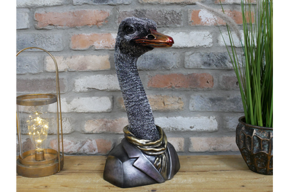 Emu Bust
