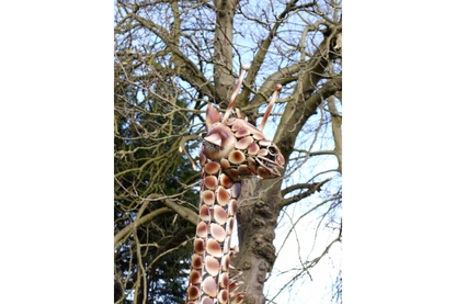 Giraffe Medium