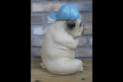 Arms Crossed Bulldog