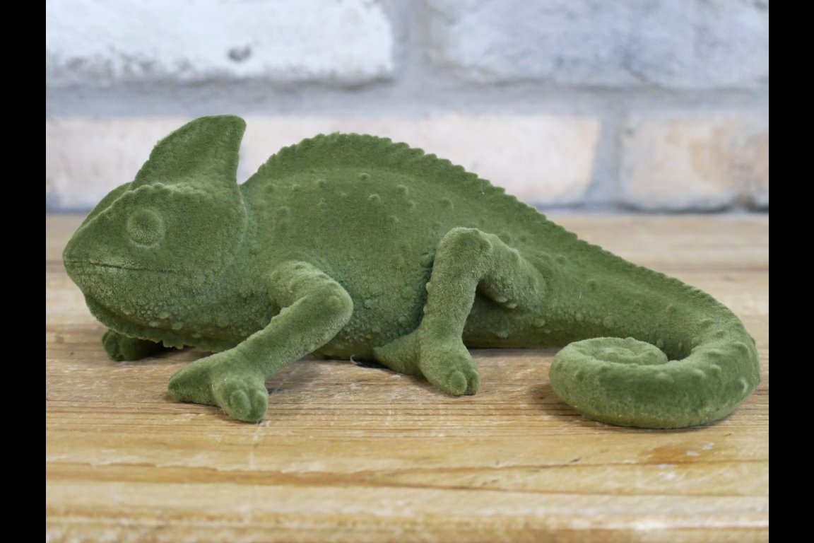Geko