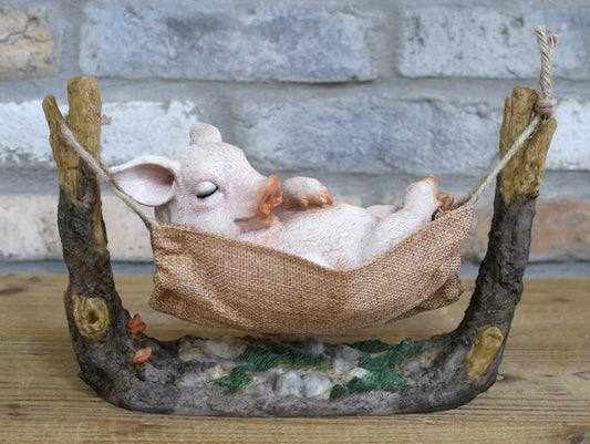 Pig In Hammock