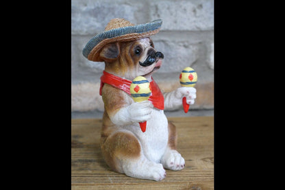 Mexican Bulldog