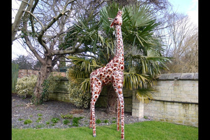 Giraffe Small