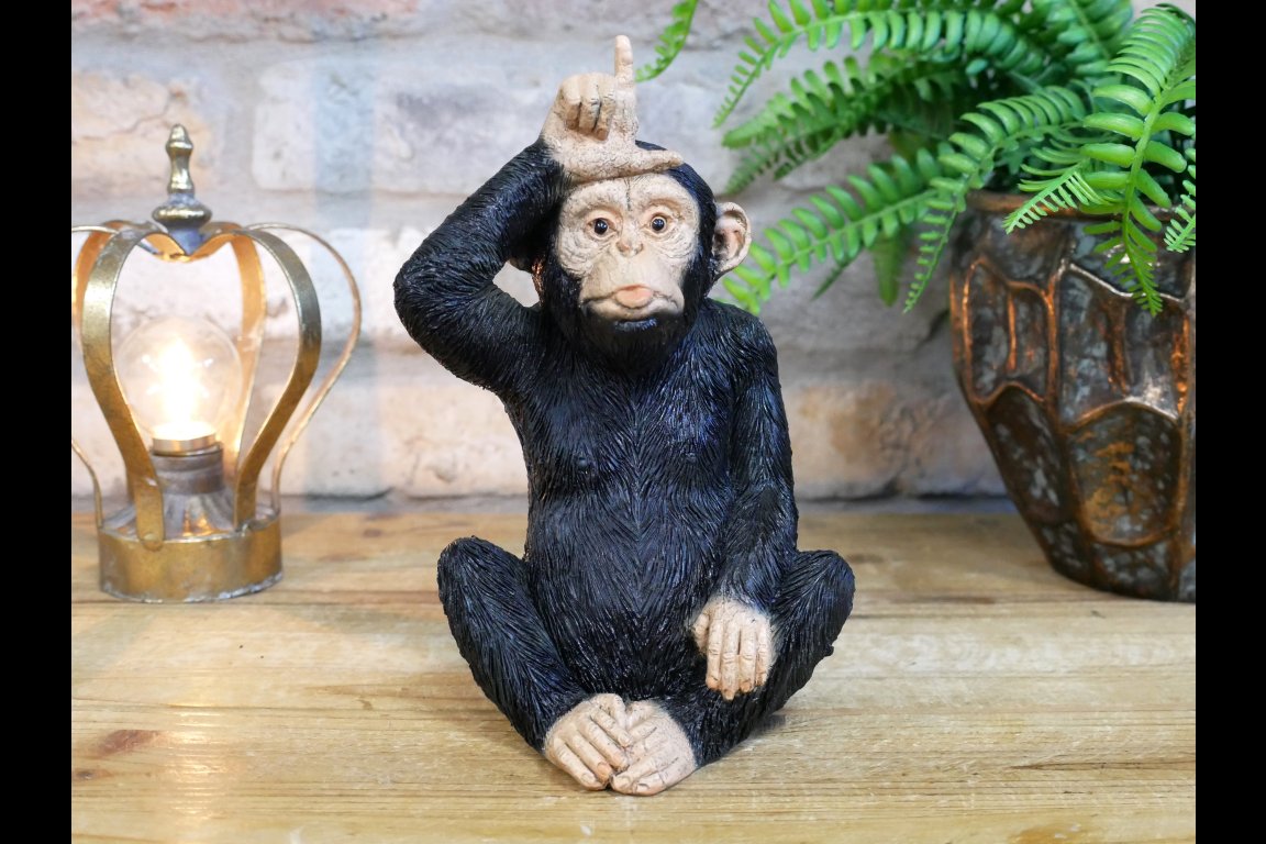 Little Loser Monkey